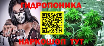 ГАЛЛЮЦИНОГЕННЫЕ ГРИБЫ Гусев