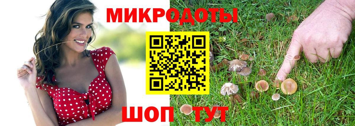 Галлюциногенные грибы GOLDEN TEACHER Муром