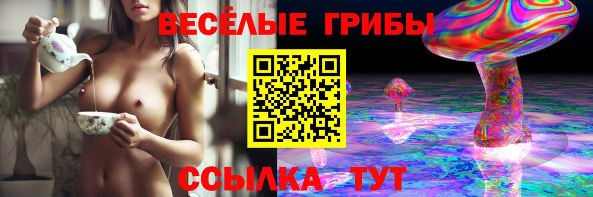 Псилоцибиновые грибы мухоморы  Вход с VPN  Псилоцибиновые грибы Magic Shrooms  купить наркотик  Муром 